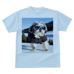 V[Y[ TVc  j[NfUCY LbY t@  t vg JWA 킢 lԗp Mtg I XL[ V[Y[ ~  XL[EFA