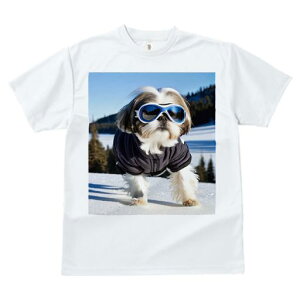 V[Y[ TVc  j[NfUCfB[X t@  t vg JWA 킢 lԗp Mtg I XL[ V[Y[ ~  XL[EFA