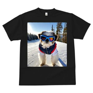 V[Y[ TVc  j[NfUCfB[X t@  t vg JWA 킢 lԗp Mtg I XL[ V[Y[ R ~ XL[EFA