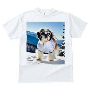 V[Y[ TVc  j[NfUCfB[X t@  t vg JWA 킢 lԗp Mtg I  V[Y[ ~ XL[EFA XL[S[O