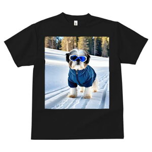 V[Y[ TVc  j[NfUCfB[X t@  t vg JWA 킢 lԗp Mtg I XL[ V[Y[ ~  XL[EFA