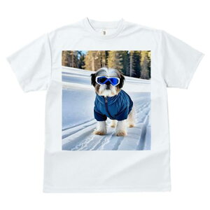 V[Y[ TVc  j[NfUCfB[X t@  t vg JWA 킢 lԗp Mtg I XL[ V[Y[ ~  XL[EFA