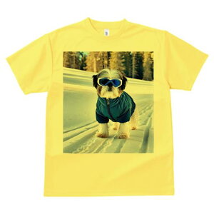 V[Y[ TVc  j[NfUCY LbY t@  t vg JWA 킢 lԗp Mtg I XL[ V[Y[ ~  XL[EFA