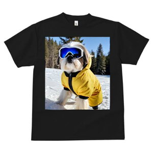 V[Y[ TVc  j[NfUCfB[X t@  t vg JWA 킢 lԗp Mtg I XL[ V[Y[ XL[EFA  ~