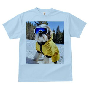 V[Y[ TVc  j[NfUCY LbY t@  t vg JWA 킢 lԗp Mtg I XL[ V[Y[ XL[EFA  ~