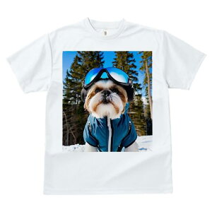 V[Y[ TVc  j[NfUCfB[X t@  t vg JWA 킢 lԗp Mtg I XL[ V[Y[ ~  XL[EFA