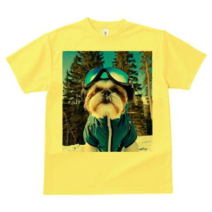 V[Y[ TVc  j[NfUCY LbY t@  t vg JWA 킢 lԗp Mtg I XL[ V[Y[ ~  XL[EFA