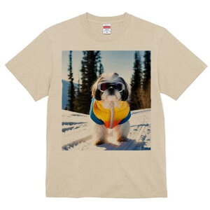 V[Y[ TVc  j[NfUCY LbY t@  t vg JWA 킢 lԗp Mtg I XL[ V[Y[  ~ XL[EFA