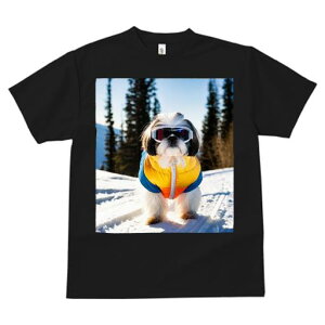 V[Y[ TVc  j[NfUCfB[X t@  t vg JWA 킢 lԗp Mtg I XL[ V[Y[  ~ XL[EFA