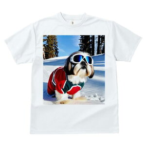 V[Y[ TVc  j[NfUCfB[X t@  t vg JWA 킢 lԗp Mtg I XL[ V[Y[ ~  XL[EFA