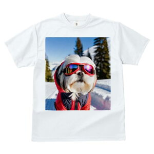 V[Y[ TVc  j[NfUCfB[X t@  t vg JWA 킢 lԗp Mtg I R V[Y[ XL[EFA S[O