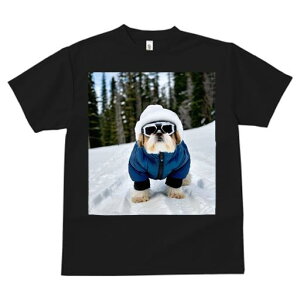 V[Y[ TVc  j[NfUCfB[X t@  t vg JWA 킢 lԗp Mtg I XL[ V[Y[ ~  Xq