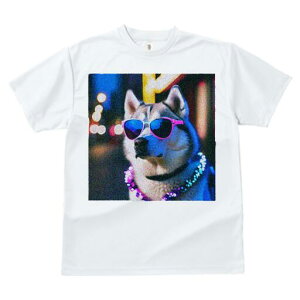 VxAnXL[ TVc  j[NfUCfB[X t@  t vg JWA 킢 lԗp Mtg I TOX VxAnXL[ lbNX