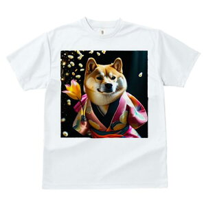 Č TVc  j[NfUCfB[X t@  t vg JWA 킢 lԗp Mtg I  Č  a {