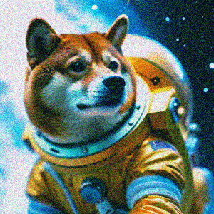 Fsm Č F Xy[X NbVJo[ 45×45cm Aj}   NbV{̕t `