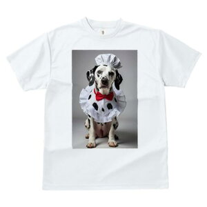 _VA TVc  j[NfUCfB[X t@  t vg JWA 킢 lԗp Mtg I RbNX _VA ԂlN^C t