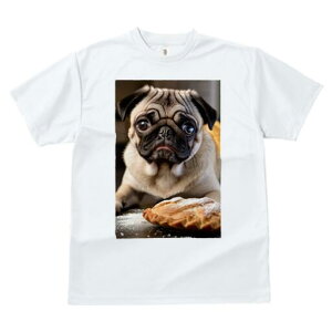 pO TVc  j[NfUCfB[X t@  t vg JWA 킢 lԗp Mtg I p pO Hו fU[g XC[c