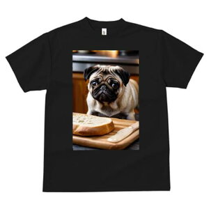 pO TVc  j[NfUCfB[X t@  t vg JWA 킢 lԗp Mtg I p pO ؐ܂Ȕ o^[iCt