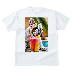 �t�����`�u���h�b�O T�V���c ���� ���j�[�N�f�U�C�����f�B�[�X ���t�@�� ���� �t�� �v�����g �J�W���A�� ���킢�� �l�ԗp �M�t�g ���I �X���[�W�[ �t�����`�u���h�b�O �h�����N �� ���]�[