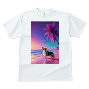 R[M[ TVc  j[NfUCfB[X t@  t vg JWA 킢 lԗp Mtg I r[` R[M[ V̖ [Ă C