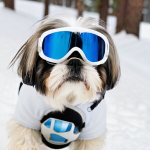 XL[S[O V[Y[ ~  XL[EFA NbVJo[ 45×45cm Aj}   NbV{̕t `