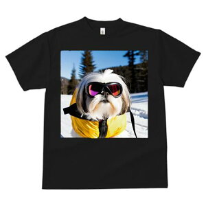 V[Y[ TVc  j[NfUCfB[X t@  t vg JWA 킢 lԗp Mtg I XL[EFA V[Y[ XL[S[O 