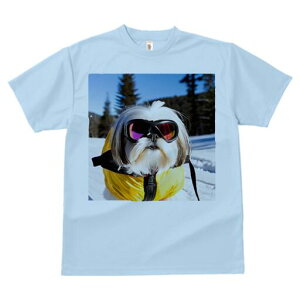 V[Y[ TVc  j[NfUCY LbY t@  t vg JWA 킢 lԗp Mtg I XL[EFA V[Y[ XL[S[O 