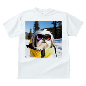 V[Y[ TVc  j[NfUCY LbY t@  t vg JWA 킢 lԗp Mtg I XL[EFA V[Y[ XL[S[O 