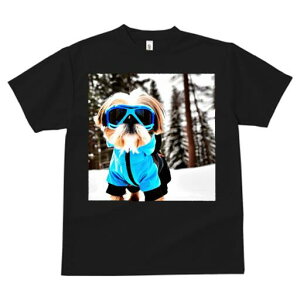 V[Y[ TVc  j[NfUCfB[X t@  t vg JWA 킢 lԗp Mtg I XL[EFA V[Y[  ~ XL[S[O