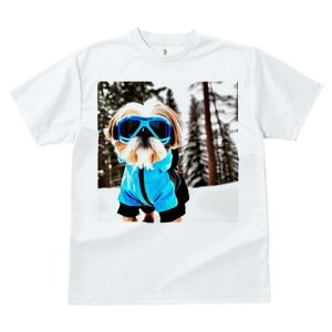 V[Y[ TVc  j[NfUCfB[X t@  t vg JWA 킢 lԗp Mtg I XL[EFA V[Y[  ~ XL[S[O