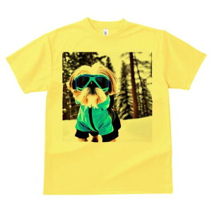 V[Y[ TVc  j[NfUCY LbY t@  t vg JWA 킢 lԗp Mtg I XL[EFA V[Y[  ~ XL[S[O