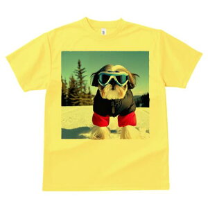 V[Y[ TVc  j[NfUCY LbY t@  t vg JWA 킢 lԗp Mtg I XL[ V[Y[ XL[EFA R ~