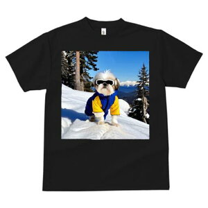 V[Y[ TVc  j[NfUCfB[X t@  t vg JWA 킢 lԗp Mtg I R V[Y[ XL[EFA XL[S[O ~