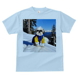 V[Y[ TVc  j[NfUCY LbY t@  t vg JWA 킢 lԗp Mtg I R V[Y[ XL[EFA XL[S[O ~