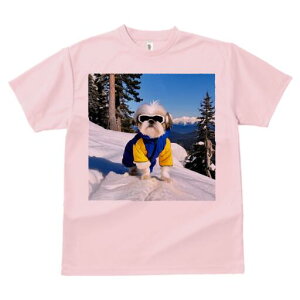 V[Y[ TVc  j[NfUCY LbY t@  t vg JWA 킢 lԗp Mtg I R V[Y[ XL[EFA XL[S[O ~