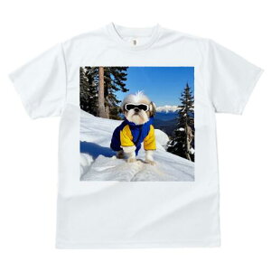 V[Y[ TVc  j[NfUCY LbY t@  t vg JWA 킢 lԗp Mtg I R V[Y[ XL[EFA XL[S[O ~