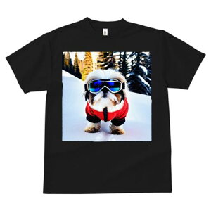 V[Y[ TVc  j[NfUCfB[X t@  t vg JWA 킢 lԗp Mtg I XL[EFA V[Y[ R XL[S[O