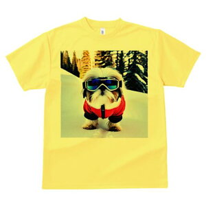 V[Y[ TVc  j[NfUCY LbY t@  t vg JWA 킢 lԗp Mtg I XL[EFA V[Y[ R XL[S[O