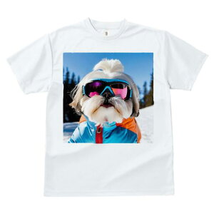 V[Y[ TVc  j[NfUCfB[X t@  t vg JWA 킢 lԗp Mtg I XL[EFA V[Y[ XL[S[O R