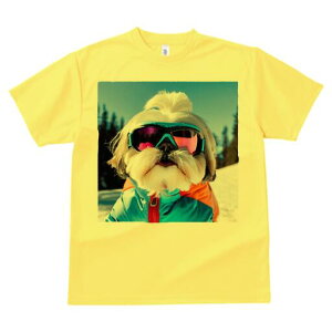 V[Y[ TVc  j[NfUCY LbY t@  t vg JWA 킢 lԗp Mtg I XL[EFA V[Y[ XL[S[O R