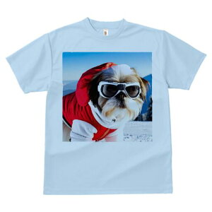 V[Y[ TVc  j[NfUCY LbY t@  t vg JWA 킢 lԗp Mtg I XL[EFA V[Y[ XL[S[O R