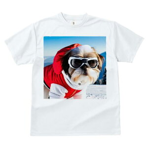 V[Y[ TVc  j[NfUCfB[X t@  t vg JWA 킢 lԗp Mtg I XL[EFA V[Y[ XL[S[O R