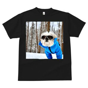 V[Y[ TVc  j[NfUCfB[X t@  t vg JWA 킢 lԗp Mtg I XL[EFA V[Y[  ~ XL[S[O