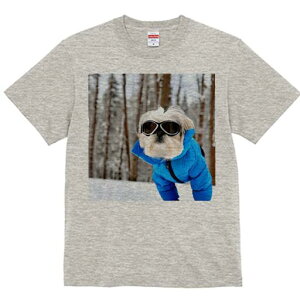 V[Y[ TVc  j[NfUCY LbY t@  t vg JWA 킢 lԗp Mtg I XL[EFA V[Y[  ~ XL[S[O