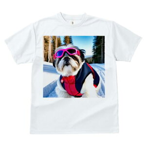 V[Y[ TVc  j[NfUCfB[X t@  t vg JWA 킢 lԗp Mtg I XL[ V[Y[  ~ XL[EFA