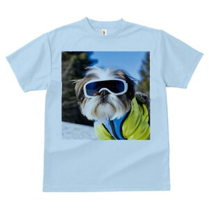 V[Y[ TVc  j[NfUCY LbY t@  t vg JWA 킢 lԗp Mtg I XL[ V[Y[ ~  XL[EFA