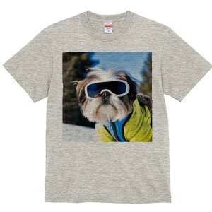 V[Y[ TVc  j[NfUCY LbY t@  t vg JWA 킢 lԗp Mtg I XL[ V[Y[ ~  XL[EFA