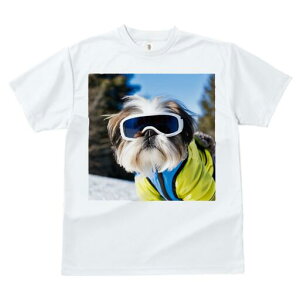 V[Y[ TVc  j[NfUCfB[X t@  t vg JWA 킢 lԗp Mtg I XL[ V[Y[ ~  XL[EFA