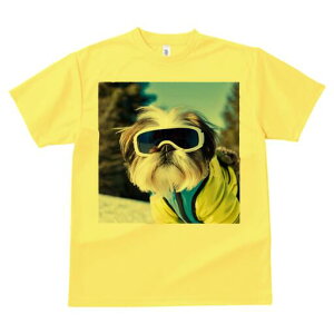 V[Y[ TVc  j[NfUCY LbY t@  t vg JWA 킢 lԗp Mtg I XL[ V[Y[ ~  XL[EFA