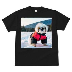 V[Y[ TVc  j[NfUCfB[X t@  t vg JWA 킢 lԗp Mtg I  V[Y[ ~ XL[EFA S[O